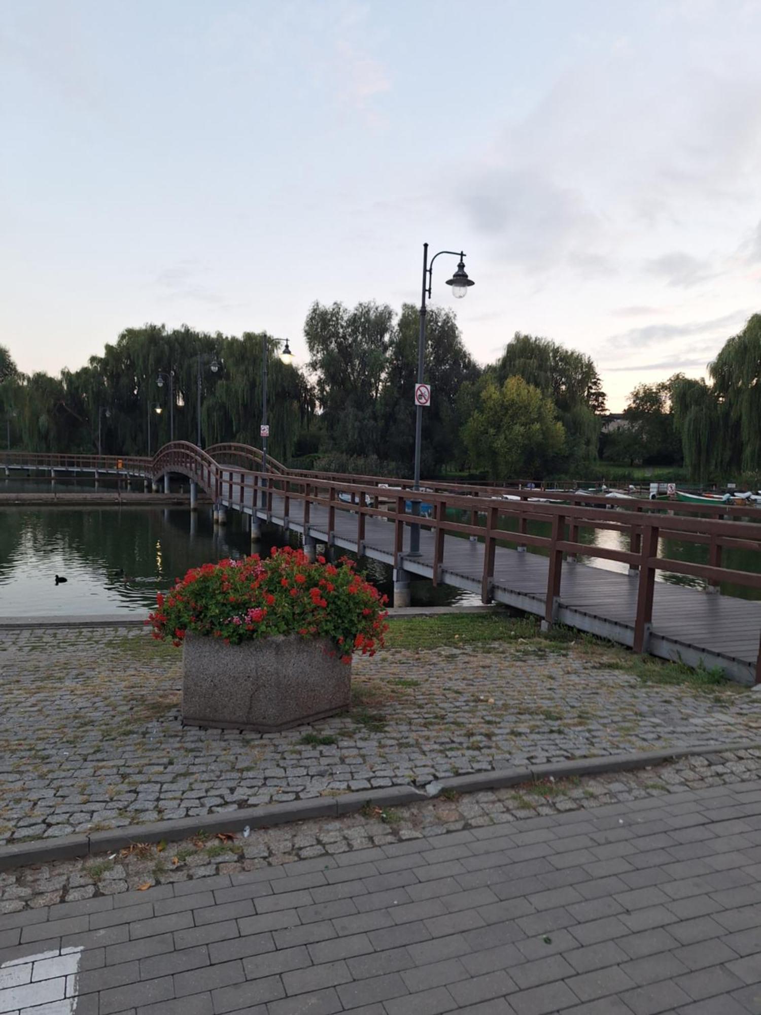Apartament Chełmża Zewnętrze zdjęcie
