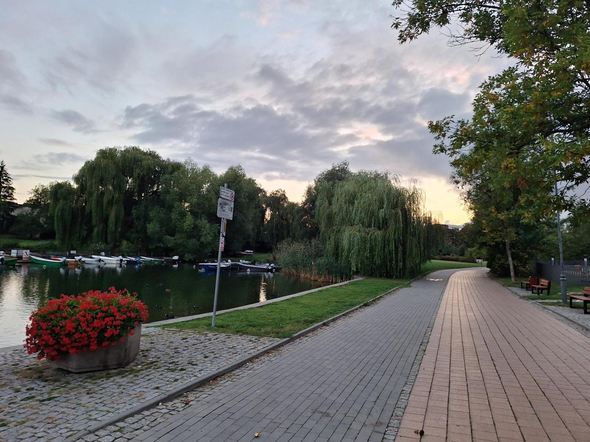 Apartament Chełmża Zewnętrze zdjęcie